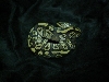 06 Mojave