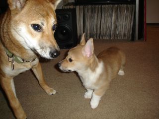 new brother