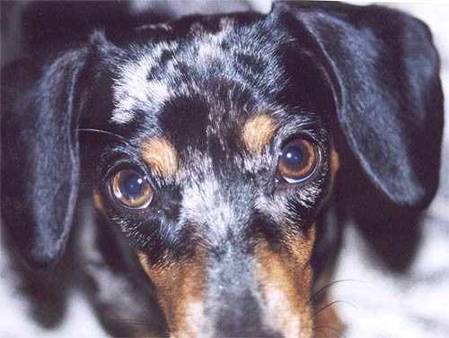 Close-up time