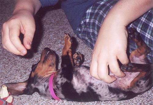 Winnie as a Puppy