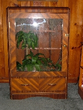 4. Finished cage