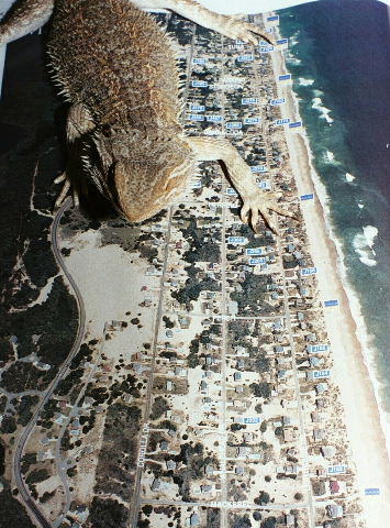 Erwin terrorizes beach