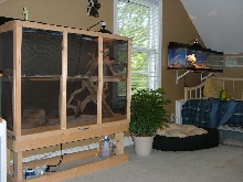 Front wall of reptile room