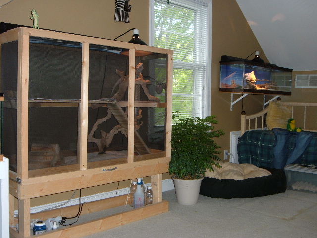 Front wall of reptile room