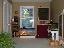 Left wall of reptile room