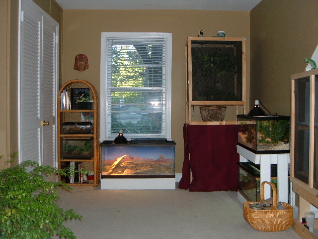 Left wall of reptile room