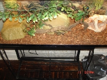 enclosure