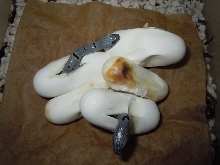 east sandy eggs hatching