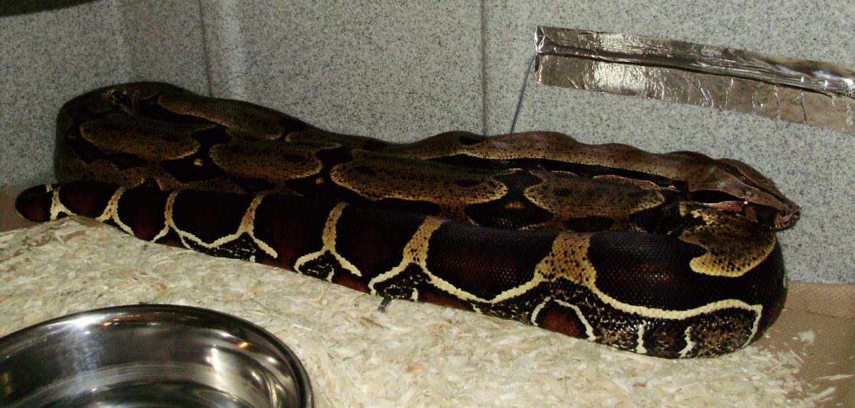 from 14 foot WC female