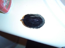 Top View