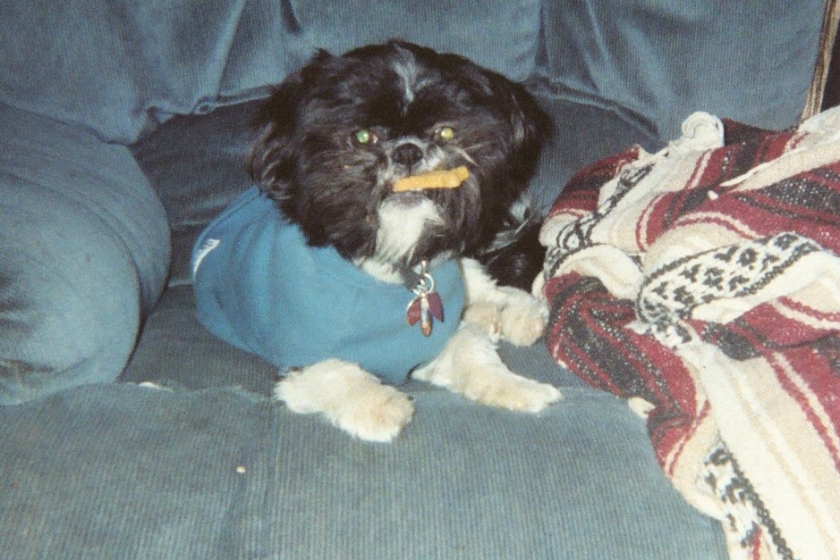 Wolfgang