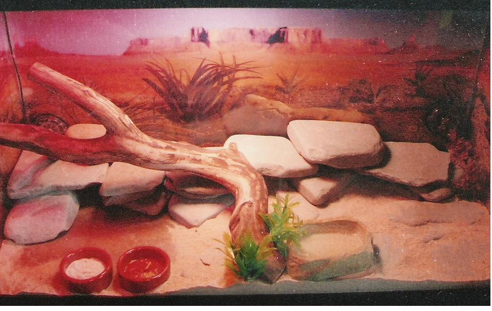 Another shot of Zubi's home