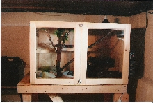 Corn Snake enclosure