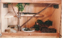 Motega's Viv.  Doors open