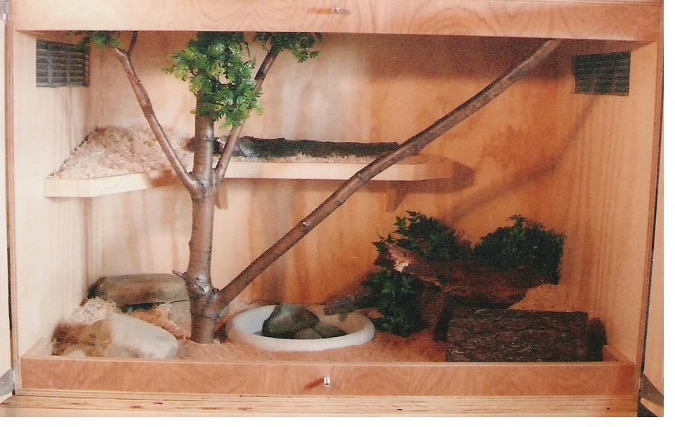 Motega's Viv.  Doors open