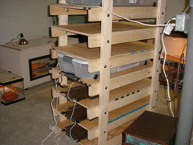 Rack