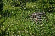 Habitat
