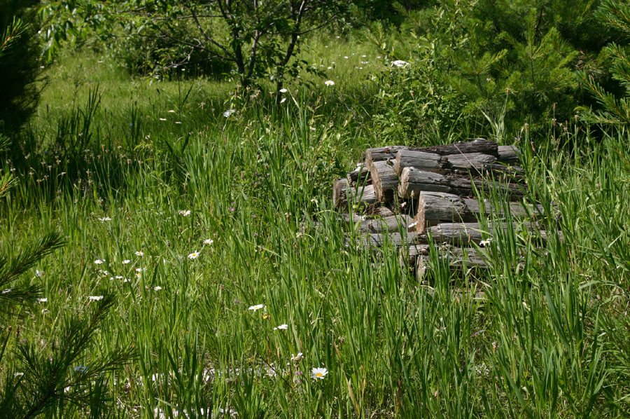Habitat
