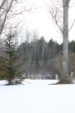Afton Farm