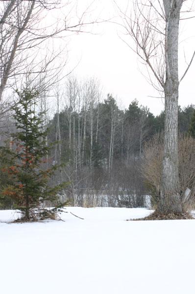 Afton Farm