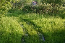 Habitat