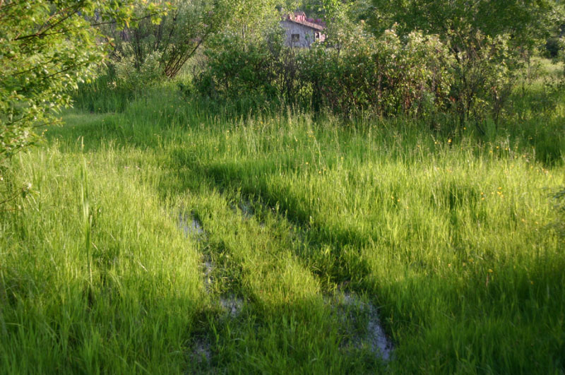 Habitat