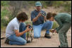 Friends in the Chiricahua Mtns.