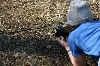 Andrew and Northern Ribbon Snake