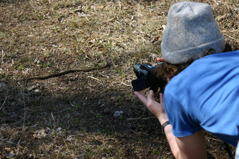 Andrew and Northern Ribbon Snake