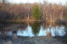 Big Pond