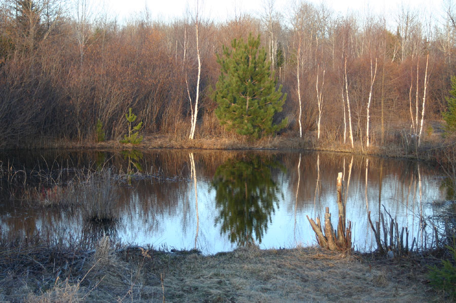 Big Pond
