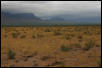 Chiricahua Grasslands