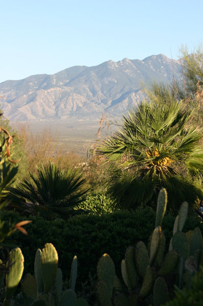 Green Valley, AZ
