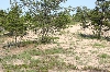 Sleeping Bear Dunes