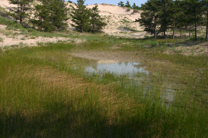 Sleeping Bear Dunes