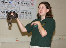 Eastern Fox Snake