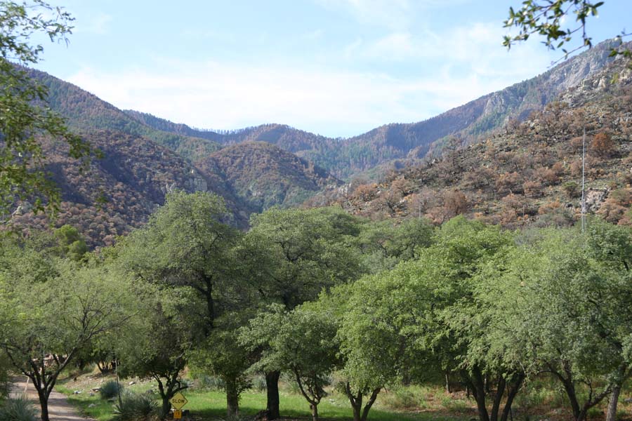 Florida Canyon