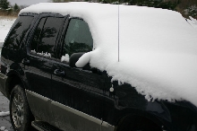 Herp Mobile