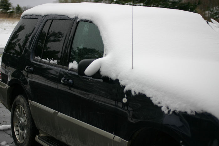 Herp Mobile