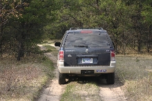Ecosystem: Jack Pine Plains