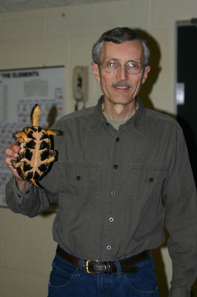 WoodxBlanding's Turtle