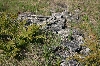 Limestone Rocks