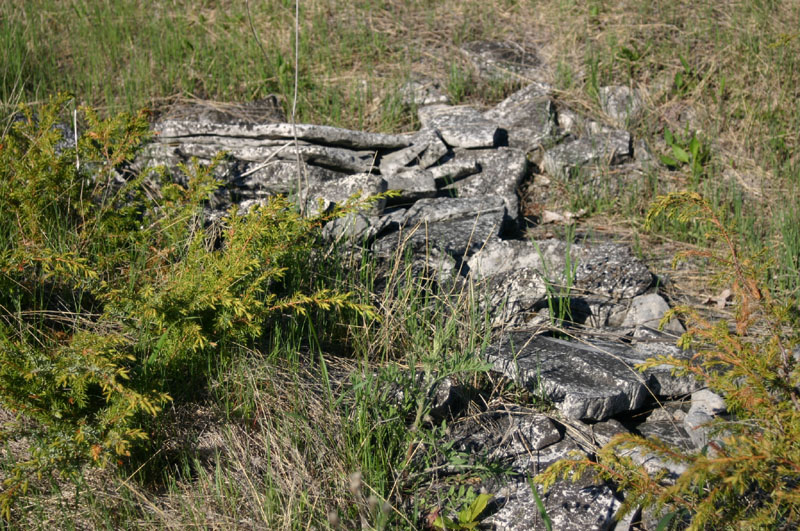 Limestone Rocks
