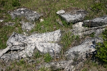 Limestone Rocks