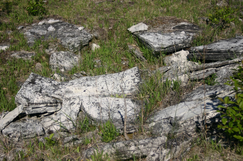 Limestone Rocks