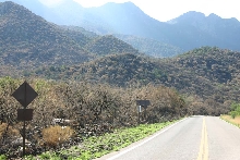 Madera Canyon