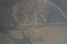 Mesozoic Origins