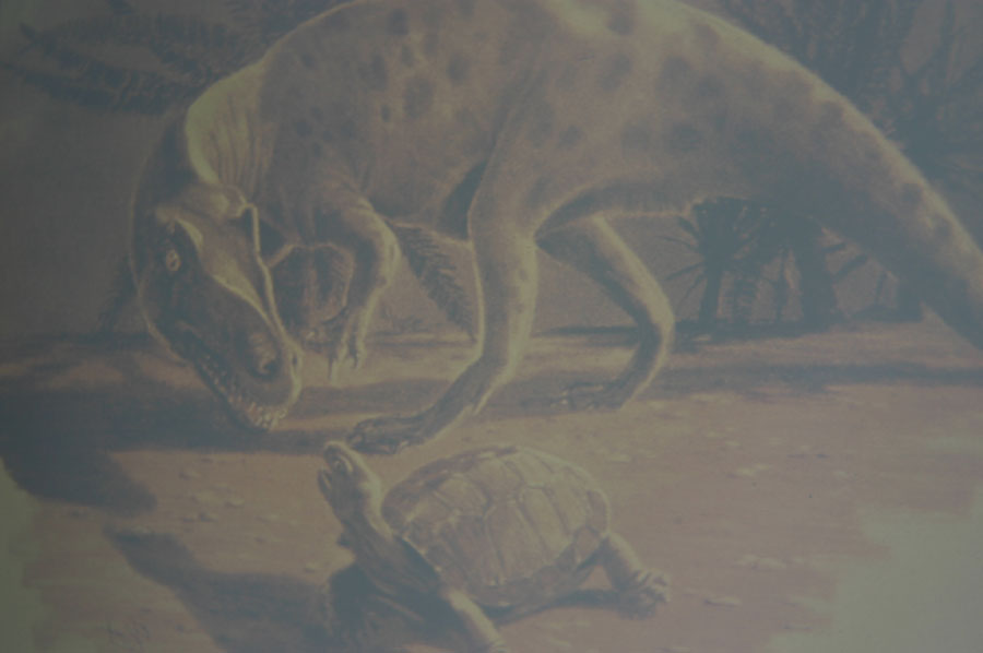 Mesozoic Origins