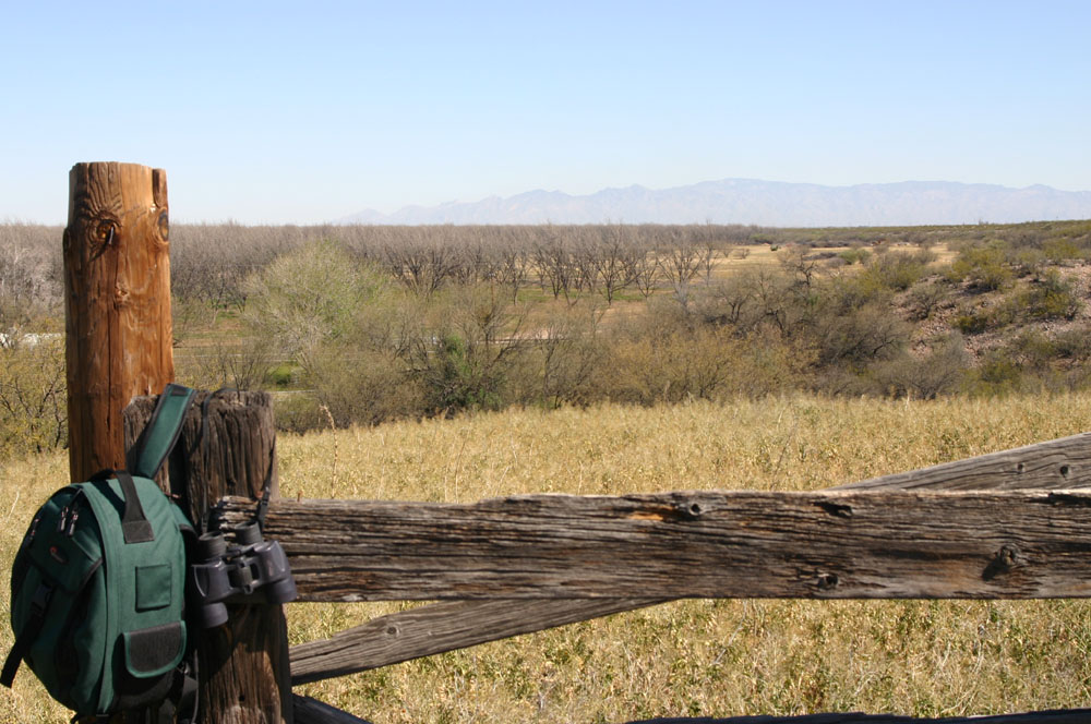 Santa Cruz River Valley