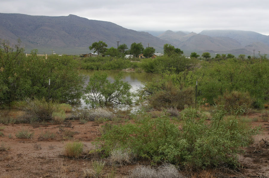 Peloncillo Cattle Tank